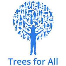 trees for all teambuilding Liverpool